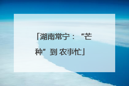 湖南常宁：“芒种”到 农事忙