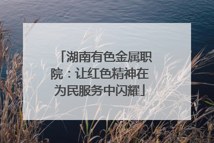 湖南有色金属职院：让红色精神在为民服务中闪耀