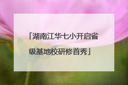 湖南江华七小开启省级基地校研修首秀