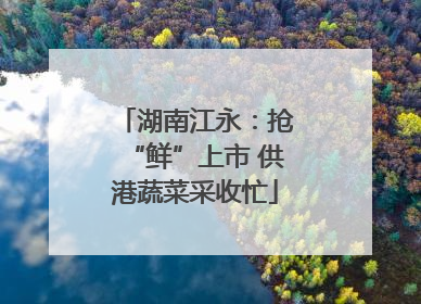 湖南江永：抢“鲜”上市 供港蔬菜采收忙