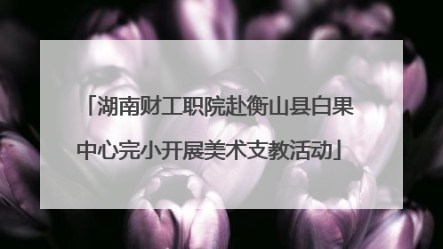 湖南财工职院赴衡山县白果中心完小开展美术支教活动