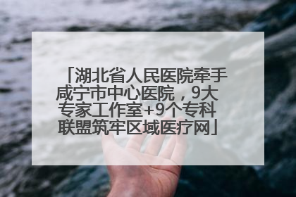 湖北省人民医院牵手咸宁市中心医院，9大专家工作室+9个专科联盟筑牢区域医疗网