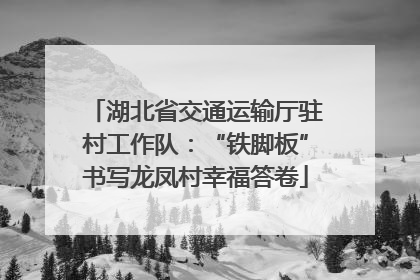 湖北省交通运输厅驻村工作队：“铁脚板”书写龙凤村幸福答卷