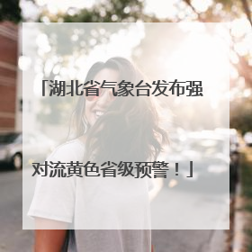 湖北省气象台发布强对流黄色省级预警！