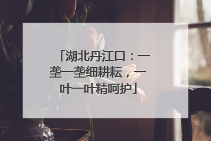 湖北丹江口：一垄一垄细耕耘，一叶一叶精呵护