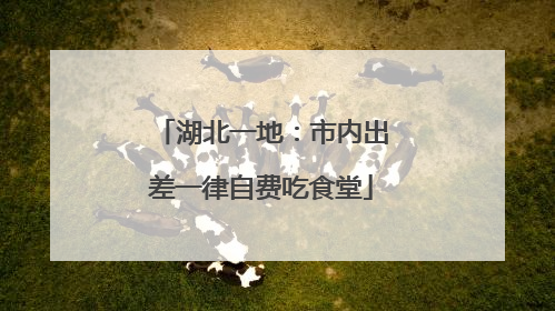 湖北一地：市内出差一律自费吃食堂