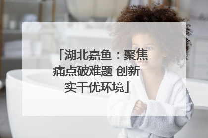 湖北嘉鱼：聚焦痛点破难题 创新实干优环境