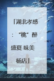湖北孝感：“桃”醉盛夏 味美杨店