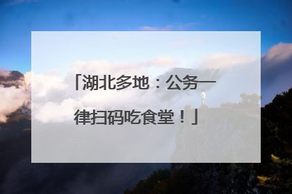 湖北多地：公务一律扫码吃食堂！