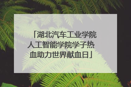 湖北汽车工业学院人工智能学院学子热血助力世界献血日