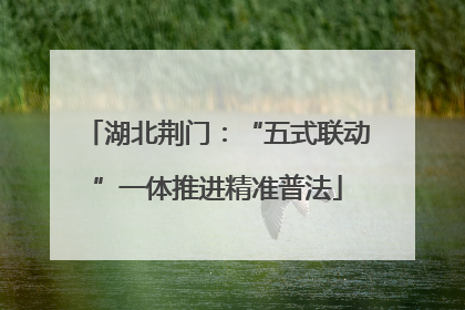 湖北荆门：“五式联动”一体推进精准普法