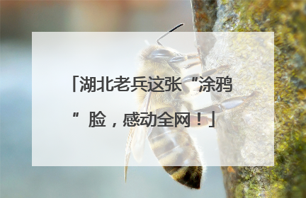 湖北老兵这张“涂鸦”脸，感动全网！