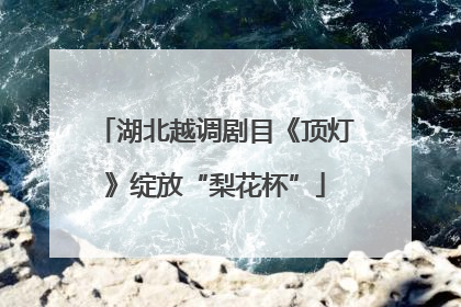 湖北越调剧目《顶灯》绽放“梨花杯”