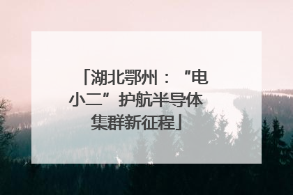 湖北鄂州：“电小二”护航半导体集群新征程