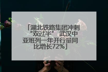 湖北铁路集团冲刺“双过半” 武汉中亚班列一年开行量同比增长72%