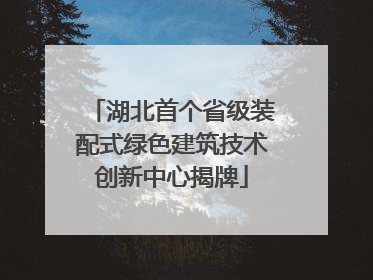 湖北首个省级装配式绿色建筑技术创新中心揭牌