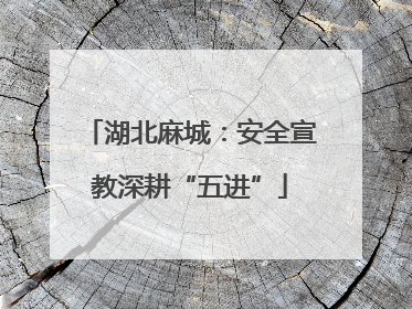 湖北麻城：安全宣教深耕“五进”