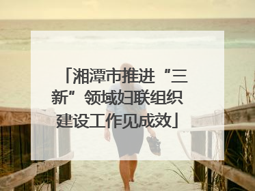 湘潭市推进“三新”领域妇联组织建设工作见成效