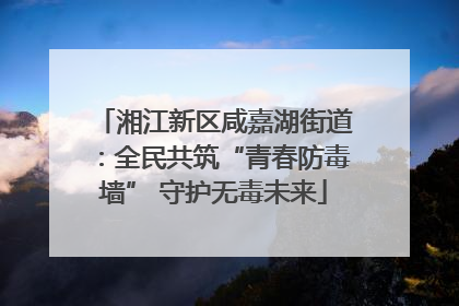 湘江新区咸嘉湖街道：全民共筑“青春防毒墙” 守护无毒未来