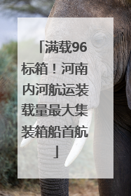 满载96标箱！河南内河航运装载量最大集装箱船首航