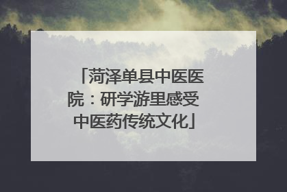 菏泽单县中医医院：研学游里感受中医药传统文化