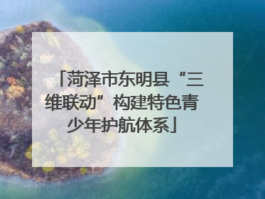 菏泽市东明县“三维联动”构建特色青少年护航体系
