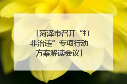 菏泽市召开“打非治违”专项行动方案解读会议