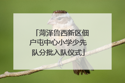 菏泽鲁西新区佃户屯中心小学少先队分批入队仪式