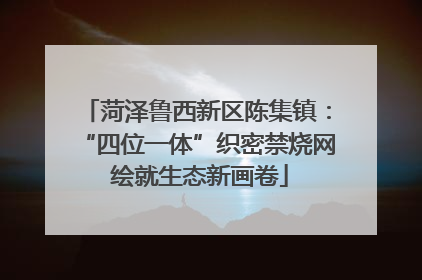 菏泽鲁西新区陈集镇：“四位一体”织密禁烧网 绘就生态新画卷