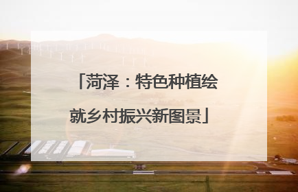 菏泽：特色种植绘就乡村振兴新图景