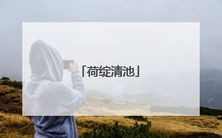 荷绽清池