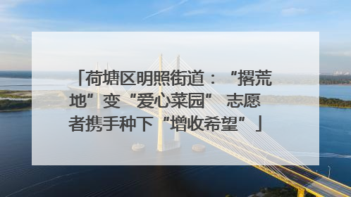荷塘区明照街道：“撂荒地”变“爱心菜园” 志愿者携手种下“增收希望”