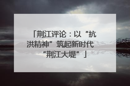 荆江评论：以“抗洪精神”筑起新时代“荆江大堤”
