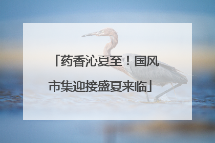 药香沁夏至！国风市集迎接盛夏来临