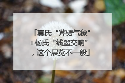 莫氏“斧劈气象”+杨氏“线墨交响”，这个展览不一般