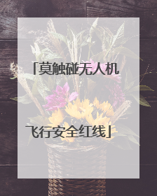 莫触碰无人机飞行安全红线