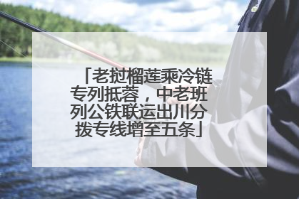 老挝榴莲乘冷链专列抵蓉，中老班列公铁联运出川分拨专线增至五条