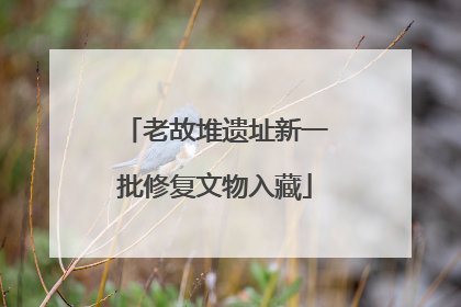 老故堆遗址新一批修复文物入藏