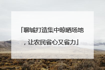 聊城打造集中晾晒场地，让农民省心又省力
