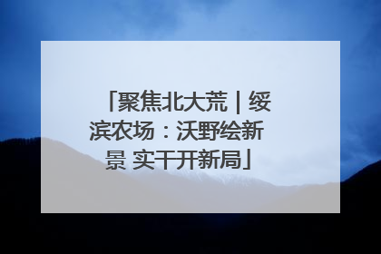 聚焦北大荒｜绥滨农场：沃野绘新景 实干开新局