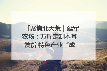 聚焦北大荒｜延军农场：万斤定制木耳发货 特色产业“成绩单”亮眼