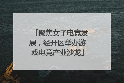 聚焦女子电竞发展，经开区举办游戏电竞产业沙龙