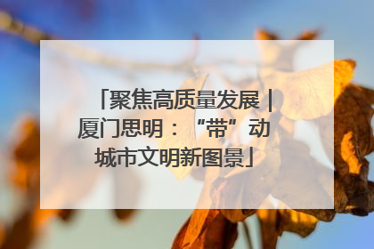 聚焦高质量发展｜厦门思明：“带”动城市文明新图景