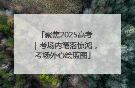 聚焦2025高考｜考场内笔落惊鸿，考场外心绘蓝图