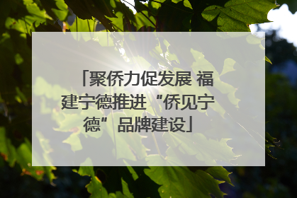聚侨力促发展 福建宁德推进“侨见宁德”品牌建设