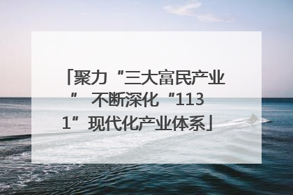 聚力“三大富民产业” 不断深化“1131”现代化产业体系