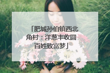 肥城孙伯镇西北角村：洋葱丰收圆百姓致富梦