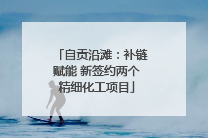 自贡沿滩：补链赋能 新签约两个精细化工项目