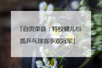 自贡荣县：特校健儿包揽乒乓球赛事双冠军