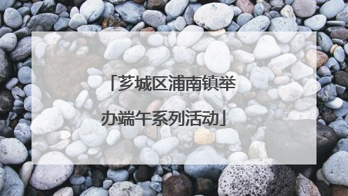 芗城区浦南镇举办端午系列活动